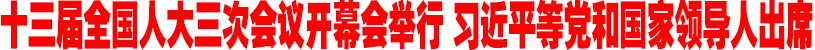 十三屆全國人大三次會