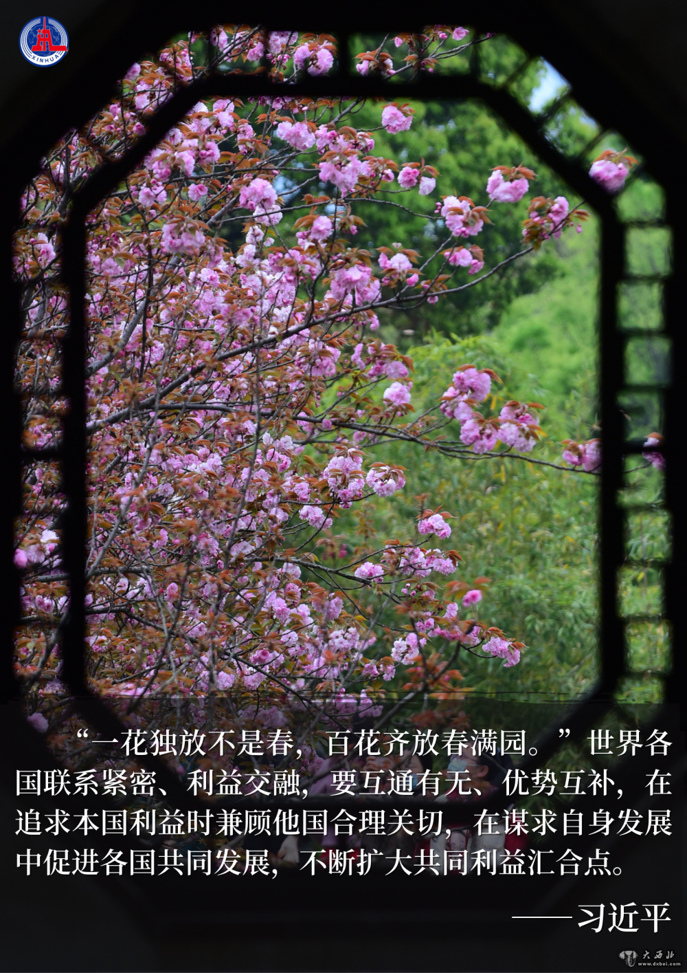 學習原聲|“典”亮博