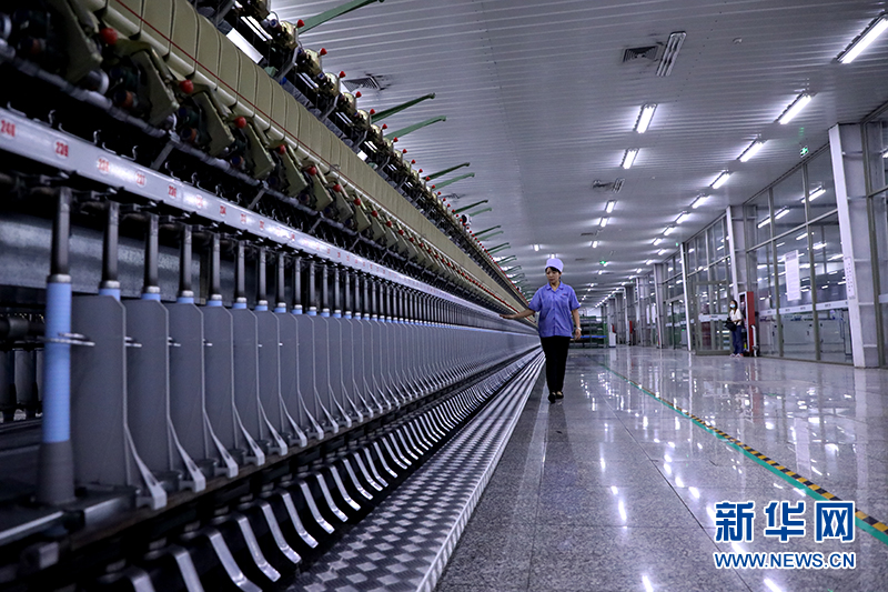 未來已來為國際精品羊