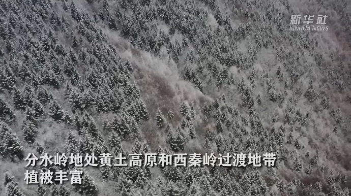 甘肅漳縣:雪后分水嶺