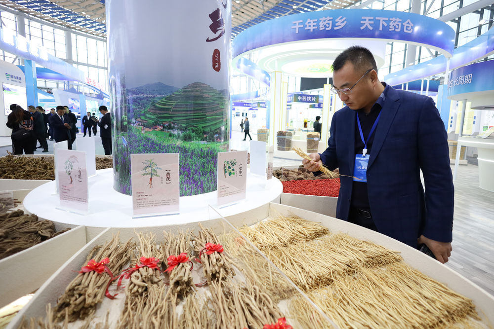 甘肅與東盟加強中醫(yī)藥