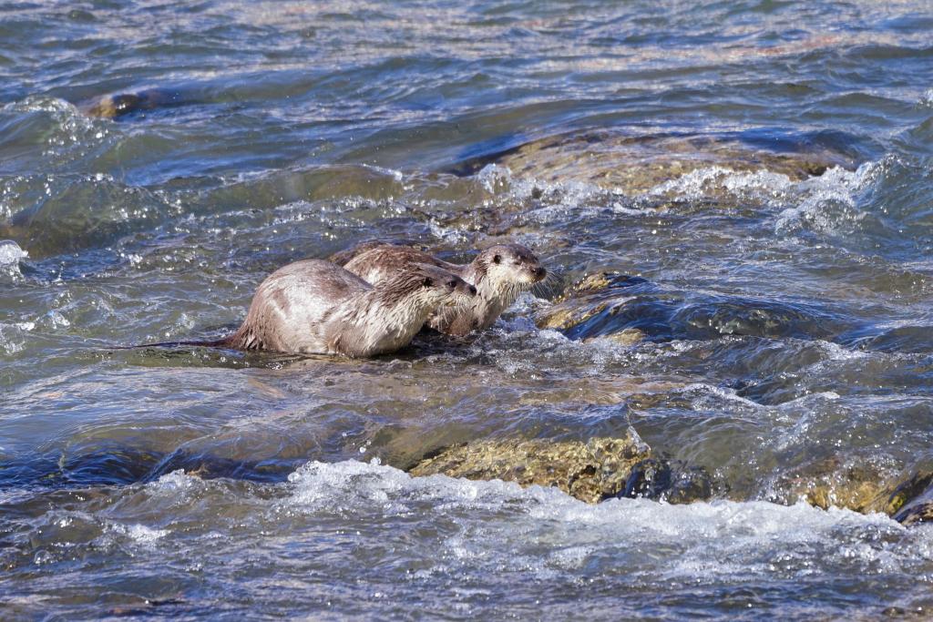 新時代中國調研行·長