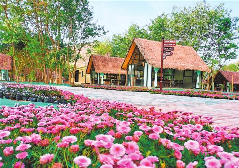 白銀:河潤兩岸繪新景