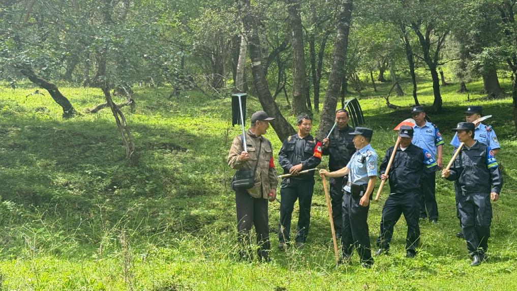 青海互助:北山林場(chǎng)巡