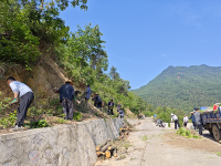 成縣:夏染護坡綻新綠